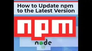 How do I update my npm version to the latest version?