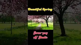 The Beautiful Path in Spring ✨️ Ambience for Sleep Study and Meditation Background #ambientmusic