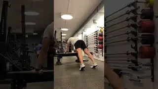 Bench Plank Bird Dog