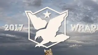 2017 Bird Attack Records Re-Cap