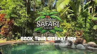 Welcome to Safari Lodge - your perfect getaway.