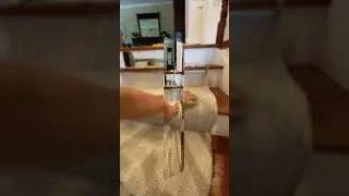 Carpet Installation on Stairs Like a Pro