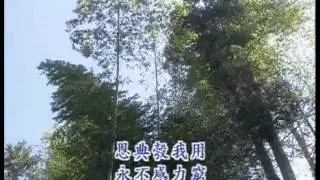 恩典代罪而兴 （诗歌248）