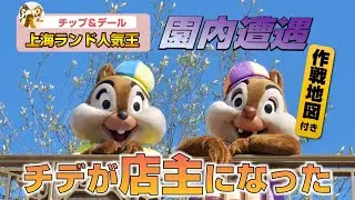 上海ディズニーランドの人気キャラクターは誰？｜チップ＆デール専門店｜チップ＆デールのショーパレ｜園内遭遇作戦地図｜#SHDL再開｜EP06