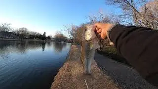 Bass fishing (Charlotte ponds)