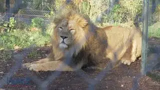 Das HAAKE HST Schlüsseltransfersystem im Schweriner Zoo.