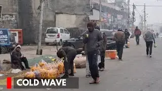 Jammu: Intense Cold Wave Disrupts Routine Life, Business Suffers