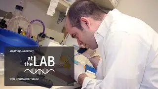 At the Lab: Pediatric cancers: Rare, relentless, and real