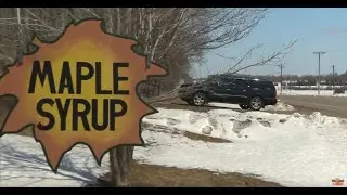 Inside Making Maple Syrup with Kris Winkelman