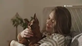 invideo ai 1080 Pet Care Message for Social Media 2025 06 25