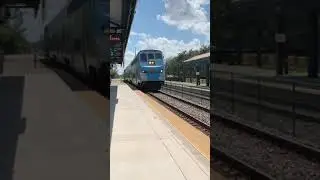 Northbound Tri Rail train with Rotem cab car # 519.