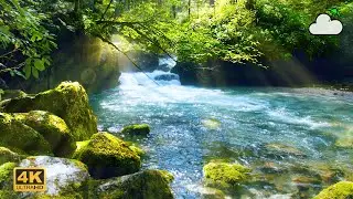 Wild Alpine River Ambience | Relaxing Flowing Water Sounds & Natural White Noise | No Birds | 4K