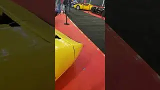 Muscle Car Madness - 1970 Plymouth Roadrunner Superbird - Beep Beep