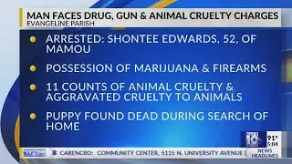 Man facing drug, gun, and animal cruelty charges in Evangeline Parish