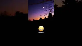 🐺Coyotes Howling Party🐺#coyote  #animals #nightcore