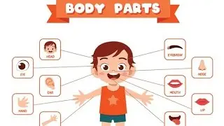 parts of body | body parts name | name of body parst english with pitchers.