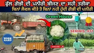 ਗੋਭੀ ਦੀ ਪਨੀਰੀ ਬੀਜਣ ਦਾ ਸਹੀ ਤਰੀਕਾ 🥦Seminas 4051