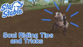 Soul Riding Tips and Tricks