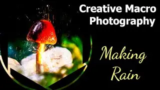 Creative Macro - A Rainy Day Inside