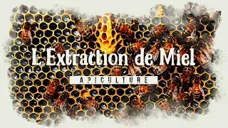 Comment faire son miel maison ?