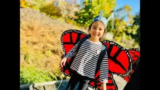 Progressive Education in The Winnetka Public Schools