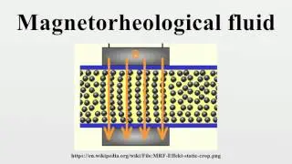 Magnetorheological fluid