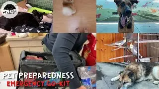 Pet Preparedness - Emergency Go-Kits