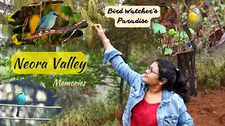 Neora Valley | Memories | Birds | Rishop | Lava | Lolegaon | Kalimpong | Kolakham | Offbeat | Pics