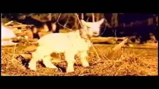 (PVMAGKVIDEOS Classics) AGK Episode #19: AGK Watches Microsoft Windows Commercials