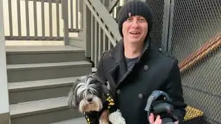 Behind the Scenes Street Wear Fashion for Dogs Photoshoot