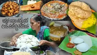 Best tiffins in Tirupati |street food |tiffins |titupati |exploretirupati
