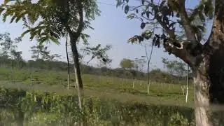 NJP to Lava side seen Beauty of Nature