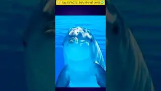 #facts99%लोग नहीं जानते Facts About Animals🤯 |Crazy Facts | Amazing Facts In Hindi #shorts #viral