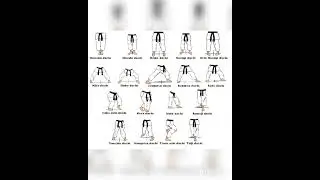 Karate 🥋 all dachi names