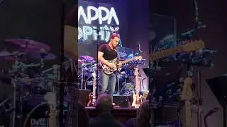 Zappa shreading