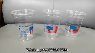 American cup full auto screen printer USA cup full auto screen printer with LED UV for plastic cup
