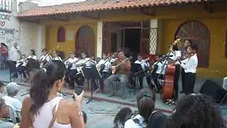 Venezuela. Proyecto Alma Llanera, Municipio Libertador, Palo Negro Aragua.