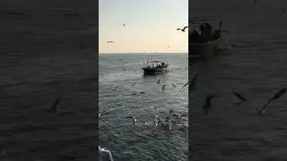 sea view #youtube #youtubeshorts #ytshorts #salmankhan