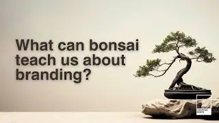 Bonsai: The Secret to Growing Your Brand