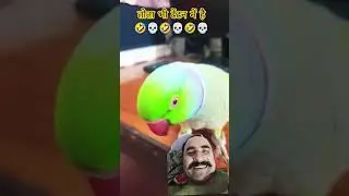 😂 Try Not To Laugh 🤣Hasi aa gayi to comment me 😂 likhna#funny #comedy #shorts #viral #laugh #foryou