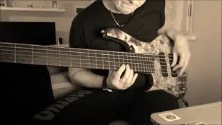 The heat of the day - Pat Metheny Group (excerpt) Sivcak TB6