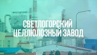 Завод беленой целлюлозы. Светлогорск. Беларусь