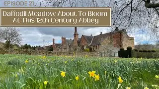 MY ENGLISH COUNTRY LIFE IN MARCH + DAFFODIL MEADOW AT FELLEY PRIORY | UK Travel EP. 21