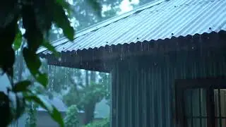 Mesmerizing Rain Sounds for Deep Sleep 🌧️ Heavy Storm on Tin Roof & Mighty Thunder at Night