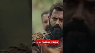 yousafzai tribe #yousafzai #afghanistan #afghani #yousafzai #pashtoonattitude #pashawar  #taliban