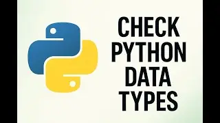 How to Check Data Types in Python using type() | Python Basics