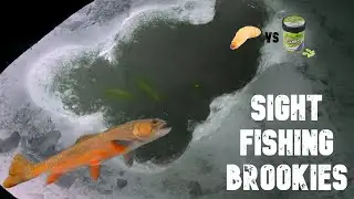 Sight fishing Brook Trout through the ICE | Wax Worms vs Gulp Waxies
