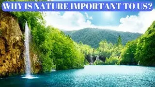 Why Is Nature Important To Humans