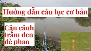 Hướng dẫn câu lục căn bản, căn chỉnh phao lưỡi lục, dòng trắm đen phê hết người