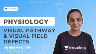 Visual Pathway & Visual Field Defects | Physiology | Dr Reena Kaur